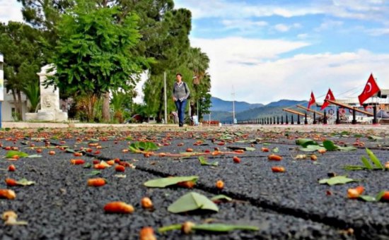 Köyceğiz fotoğrafları