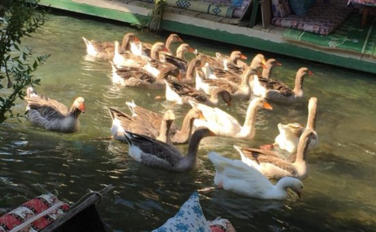 Saklıkent Restaurant hakkında. Eşsiz lezzetlerimizi tadın.