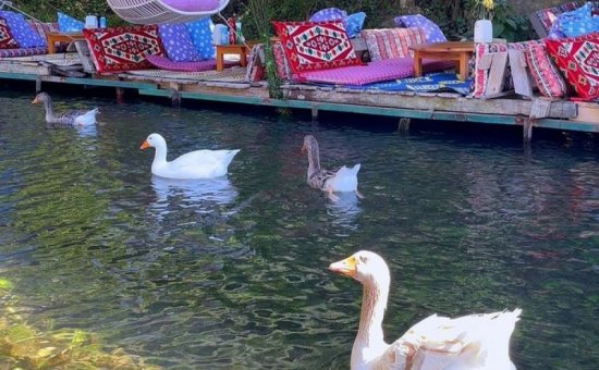 Saklıkent Restaurant hakkında. Eşsiz lezzetlerimizi tadın.