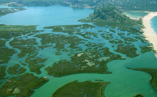 Dalyan fotoğrafları